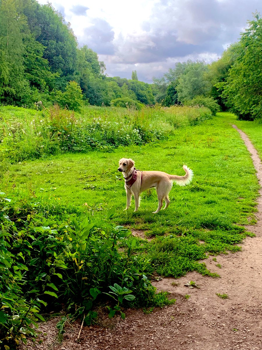 Big 10 mile walk with Bella this morning.