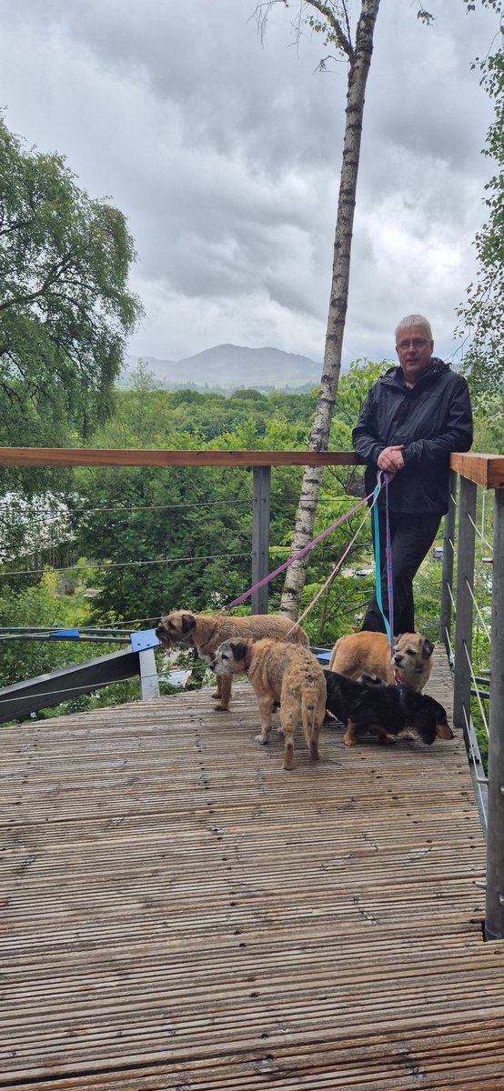 HWicket's tweet photo. #BTPosse #weekendvibes #friends rain didn't stop play! What a great time we are having in Pitlochry on our #MiniBob in the #WIcketWagon meeting up with @BtCulter HOORAH!! and @BorderJoss and Peggy and @Baileyspringer1 @trudyterrier @bruffbt and doin' explorin in Explorer's Garden https://t.co/v2T4KBYnmM