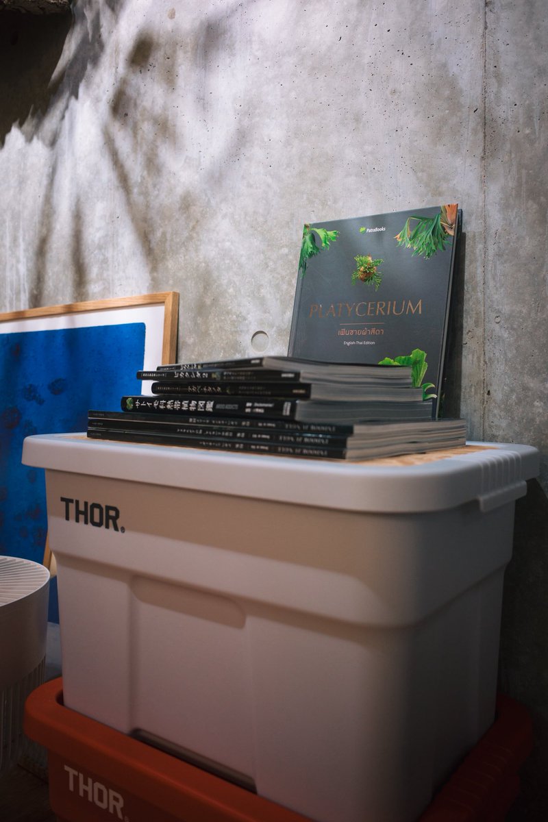 イベントラッシュ終えて植欲も落ち着くと思いきや、久々に書籍読み返してしまい欲が収まりません。