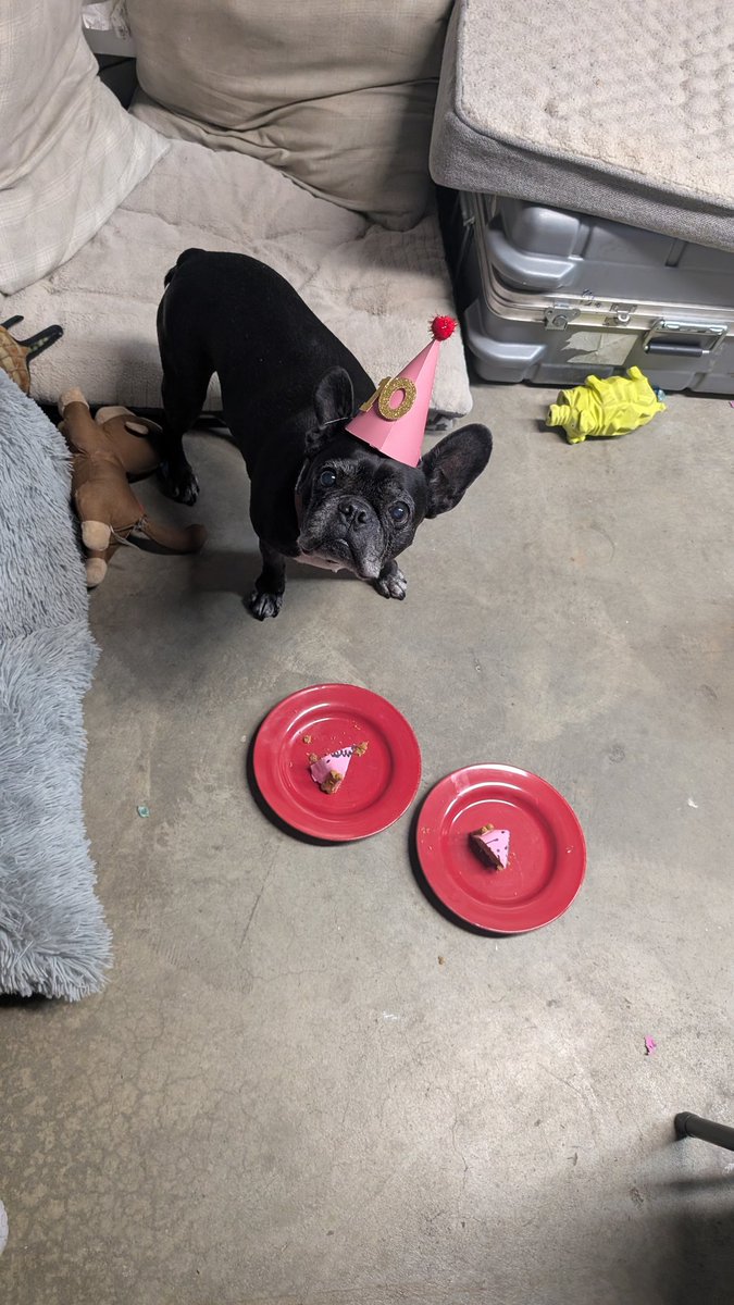 Today's party on stream ...
twitch.tv/norcalstrongst…