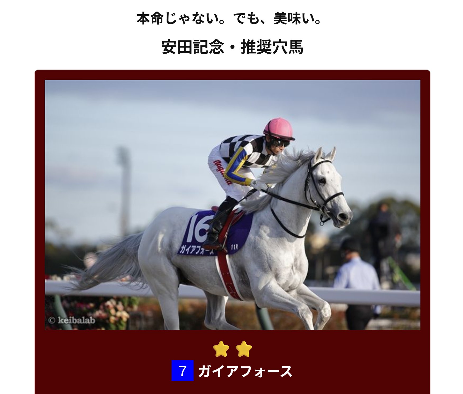 全競馬場出目V作戦 2001～2002 レース映像】東京10R 立川特別｜アンジュフィールド（三浦皇成