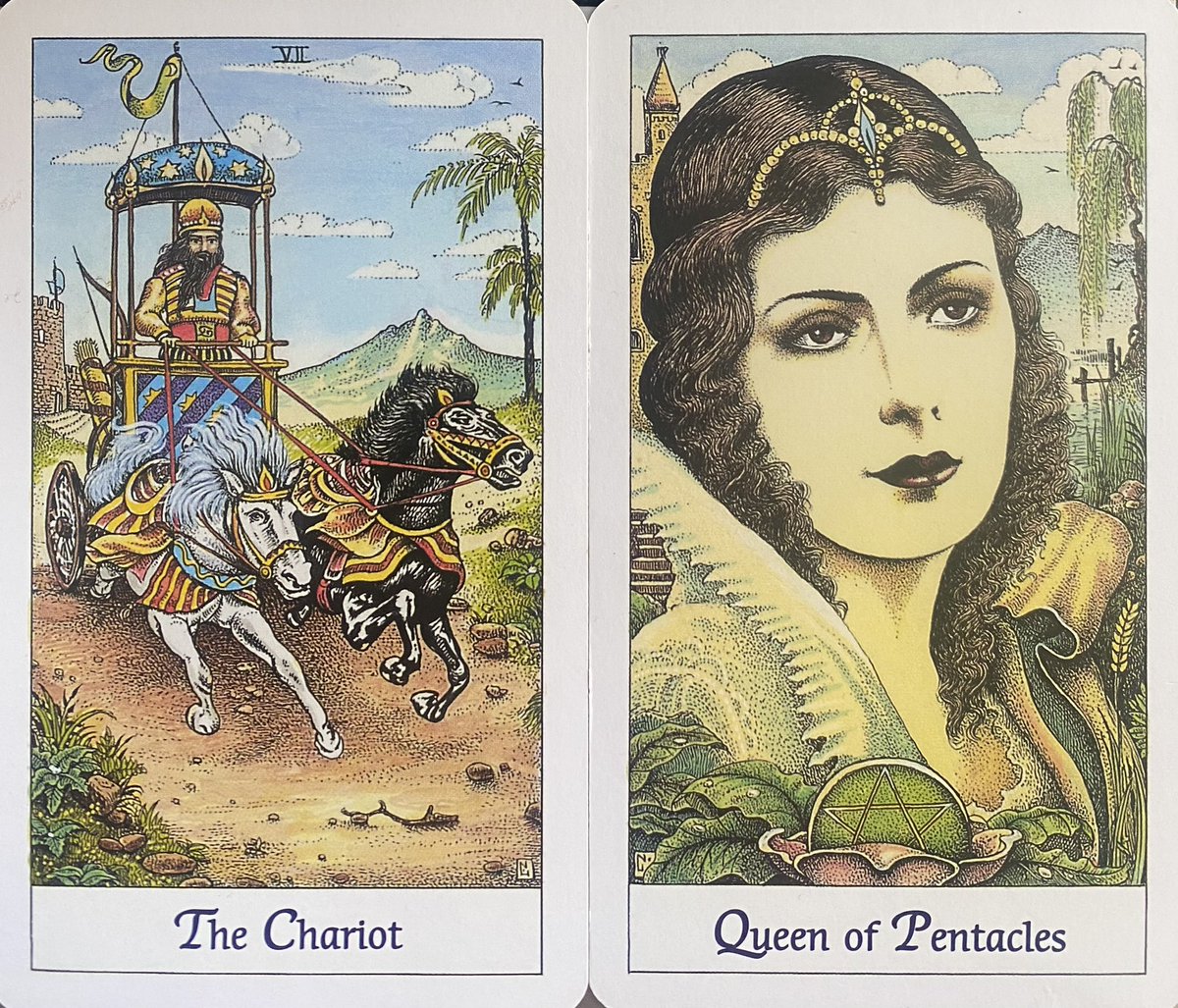 To turn your boldest visions into practical, beautiful realities, focus on blending determined action with nurturing creation. Think controlled passion for brilliant results! #dailytarot #tarotreading #tarot