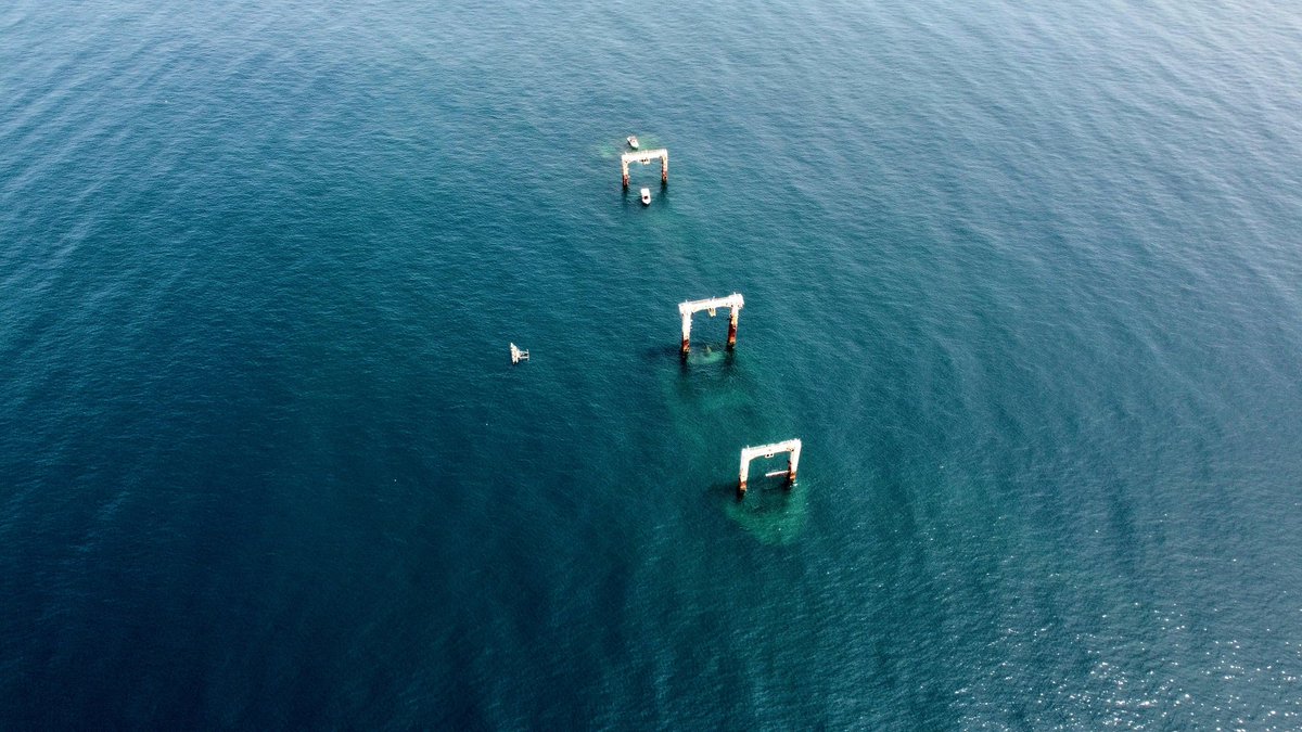 Andrew Fidel Fernando tweet media