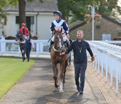 Could our loyal followers help us by reposting this as we would really like to reach 2k followers today. We have some exciting horses to show everyone and want as many people following as possible to show them off! Thank you!