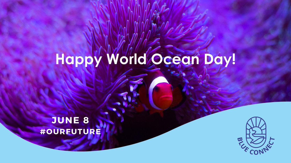 🌊 Happy #WorldOceanDay from #BlueConnect!
We’re working to connect #MPAs &amp; #BlueEconomy sectors through inclusive, science-based marine governance.
🌍 A healthy ocean is a connected ocean.
🔗 blueconnect-project.eu