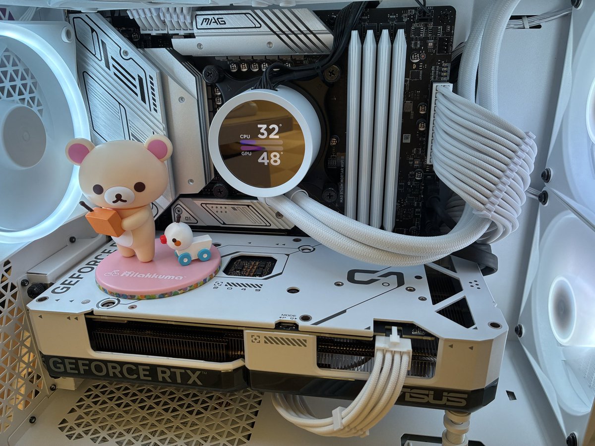ぽむりん🧸 tweet media