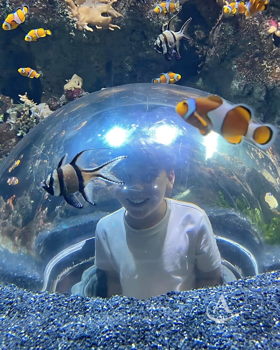 Un año más conmemoramos el #DíadelosOcéanos🌊 llevando a nuestros aladinos a Atlantis, donde conocieron de cerca los diferentes ecosistemas marinos y se lo pasaron pipa rellenando el pasaporte submarino🤩.

Gracias Atlantis por tratarnos siempre con tantísimo cariño🧡.