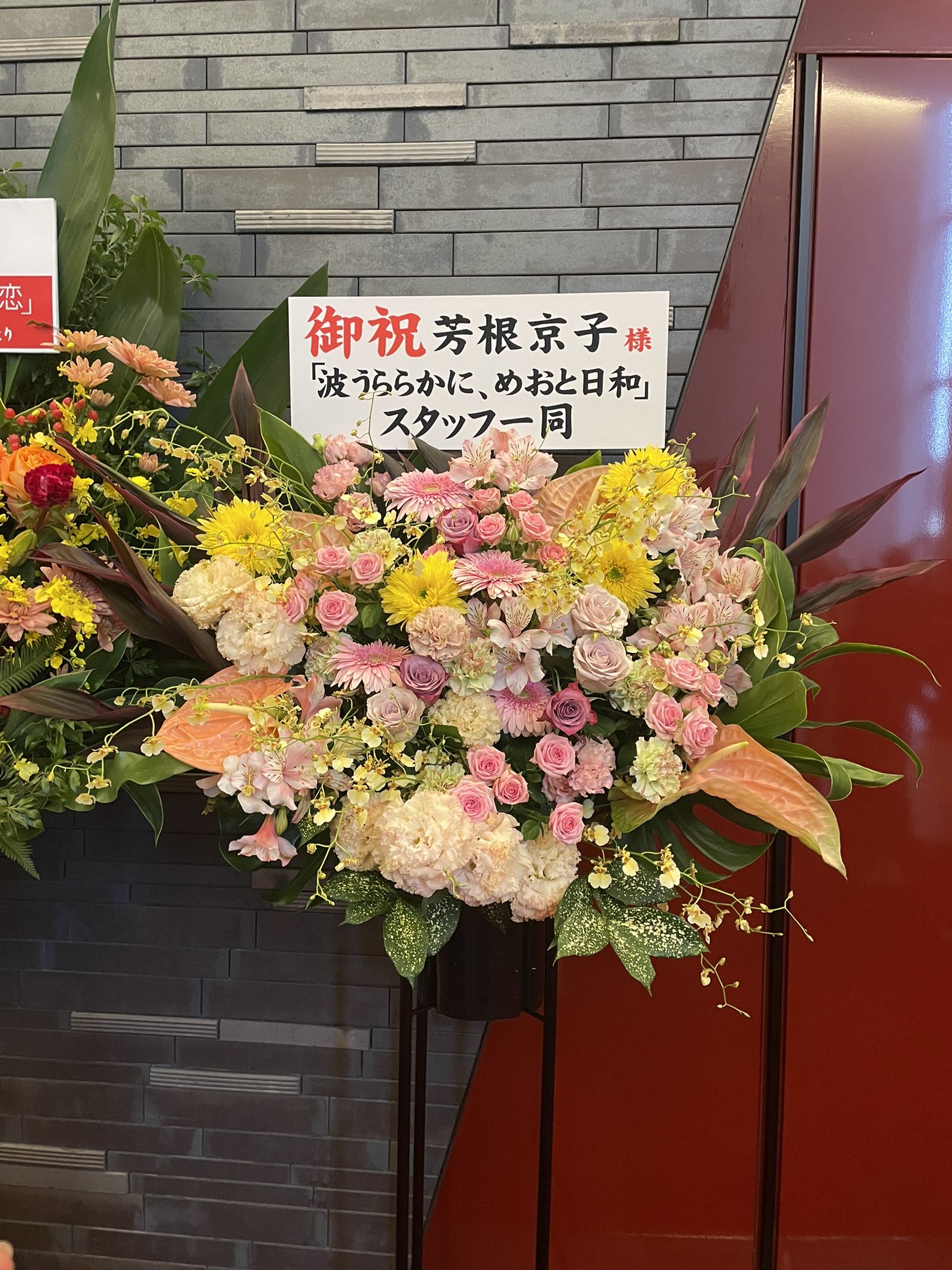 松井玲奈 芳根京子 サイン入りチェキ【最終お値下げ】 - メルカリ