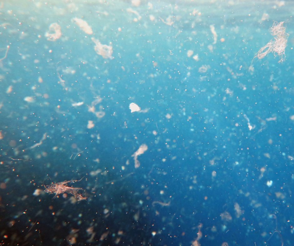 Happy #WorldOceanDay! 🌊

The health of our oceans is vital, and tackling microplastic pollution is a priority. Understanding the nature of these pollutants is key to keeping waters clean.

Learn more about how our technology aids in microplastic analysis
ow.ly/5kNL50W3Tyr