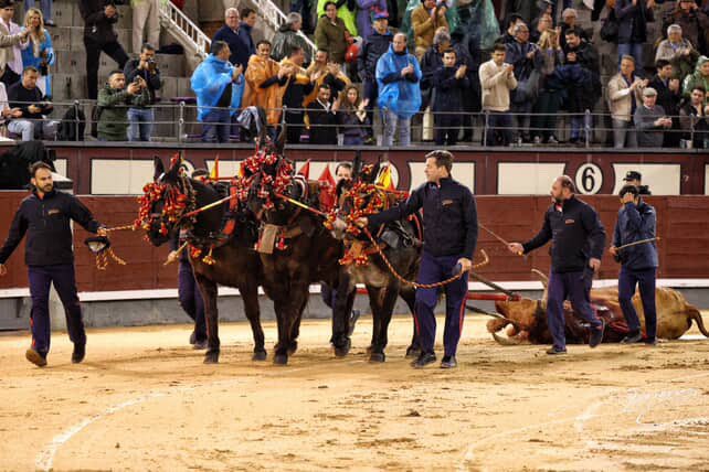 La única vuelta al ruedo a un toro del San Isidro 2025 fue para Brigadier un toro bravo  que reunió todo lo que vamos buscando . Ayer terminó la feria más importante del mundo .