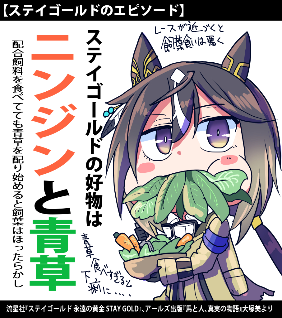 □□□□□□□をステイゴールドに変更して 好物に青草追加しました