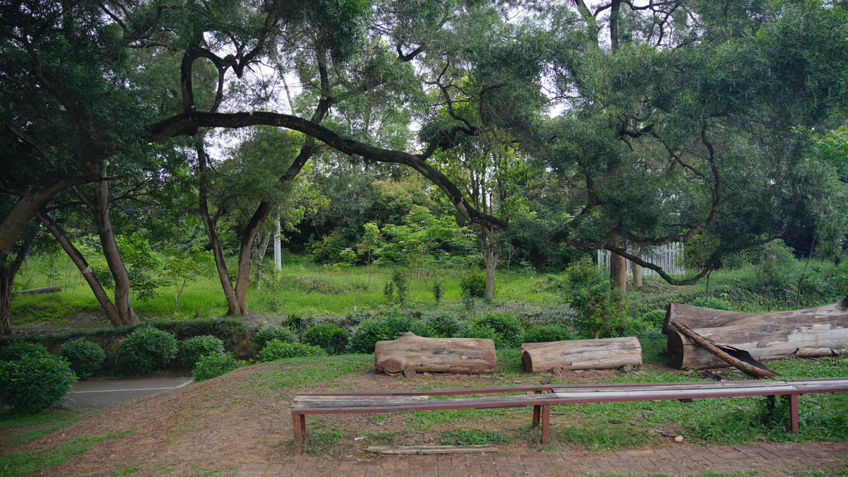M520828's tweet photo. 这地方好啊 #户外 #风景 #情绪 https://t.co/bsofJSldli