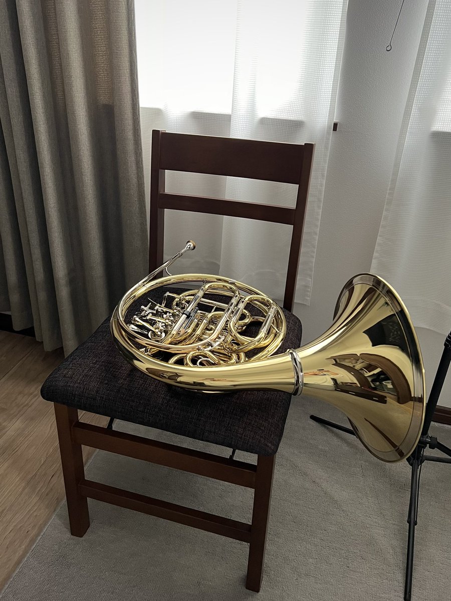 自宅での練習はずっと立奏だったけど、歳のせいかちょっと辛くなってきたので、椅子を購入。

大学近くの某ホテルの備品に採用されていたのが良かったので、同じものを。折り畳めるのがポイントで、座り心地も悪くない。

今年は演奏の機会も多いし、初めて吹く曲が結構あるので頑張ろう💪