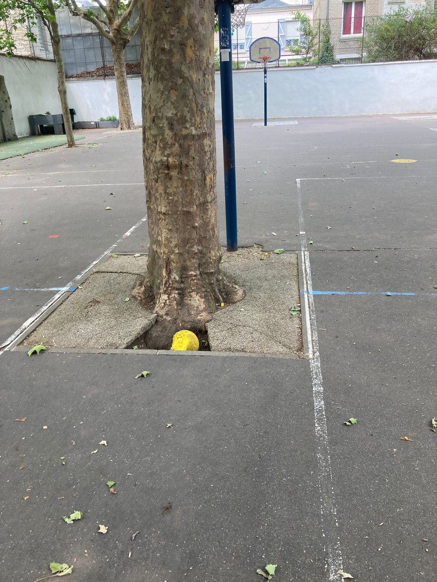 richardlevy75's tweet photo. 🚨 Hier dans une école du 19e : des trous béants dans la cour de récréation !
Inadmissible ! Lunaire ! Scandaleux !
Dangereux pour nos enfants 😡
En 2026, je réparerai nos écoles de la République.
Laisser nos enfants jouer
dans des cratères, c’est NON !!!
#ChangerParis19 https://t.co/2GrxpPWgbt