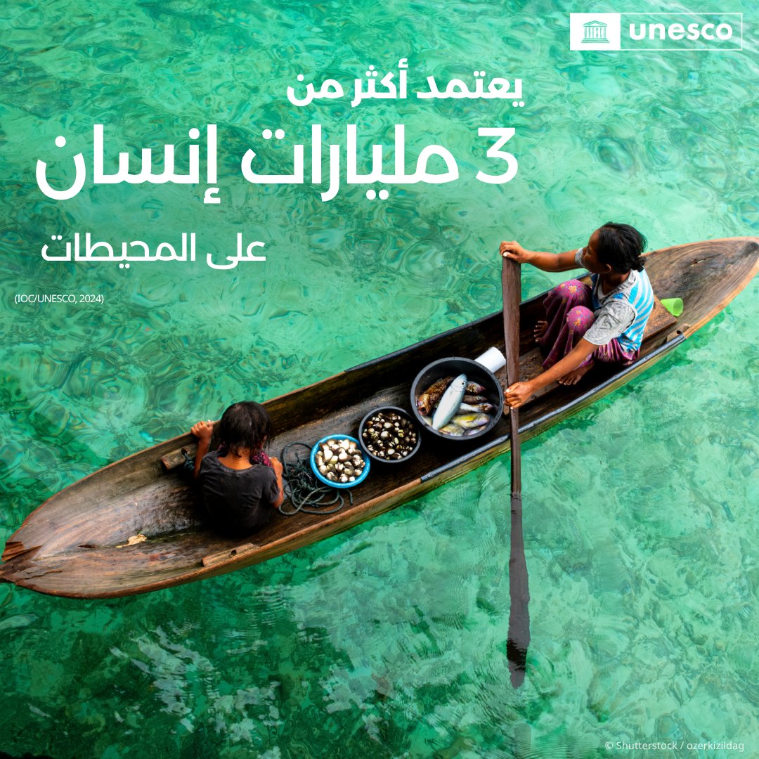 🌊 يعتمد أكثر من 3 مليارات إنسان على المحيطات في طعامهم، لكن الصيد المفرط والتلوث يهددان مستقبل المحيطات.
اليونسكو والمجتمعات المحلية ينهضون بالدراية بأمور المحيطات والممارسات المستدامة. حان الوقت لـ #الحفاظ_على_المحيطات.
🔗  bit.ly/4jCDau0 #اليوم_العالمي_للمحيطات