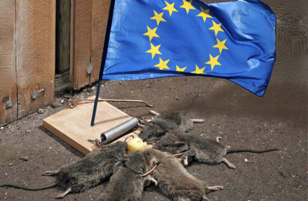 eraiyofr's tweet photo. @CBeaune Avant de parler écologie préservez donc la biodiversité et la santé mentale des français !
Vous ne financez que la mort, le suicide, la stérilité et la guerre !
Vous êtes un #ParasiteMondain, #Mortifère et #Morbide.
Vous êtes surpayé pour semer chaos, division et désespoir. https://t.co/xmXEiR41xp