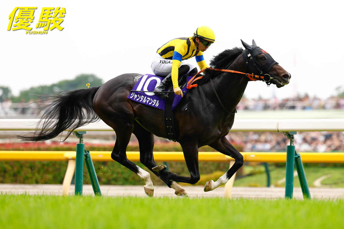 Lillion lita 爆撃竜馬 オリシャン空ボトル Lillion lita 爆撃竜馬