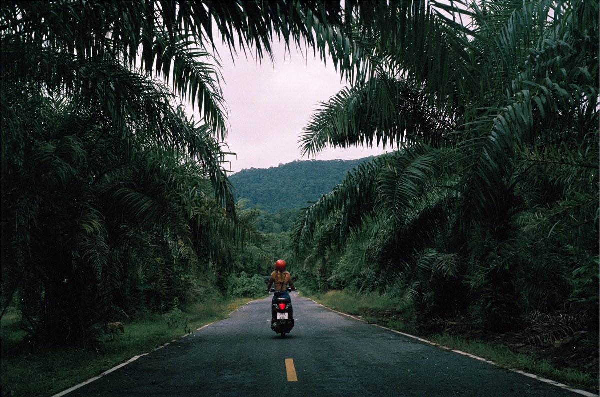 Have a great Sunday🌴

1/1 on Fnd