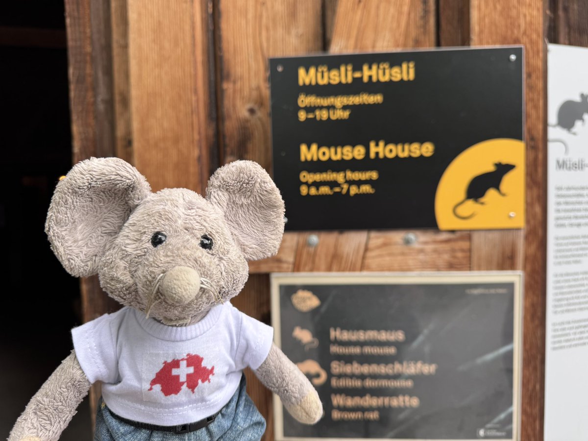 I looked at the accommodation options at Wildnispark Langenberg but decided I would be better off going back to England with my parents.