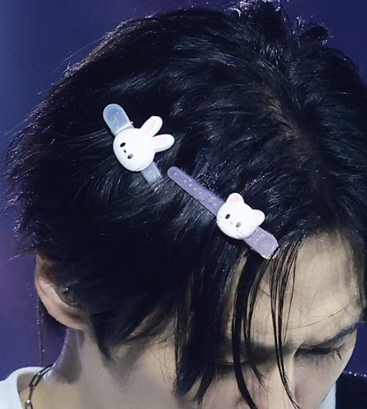 leebit and jiniret hair clips😭😭😭😭😭