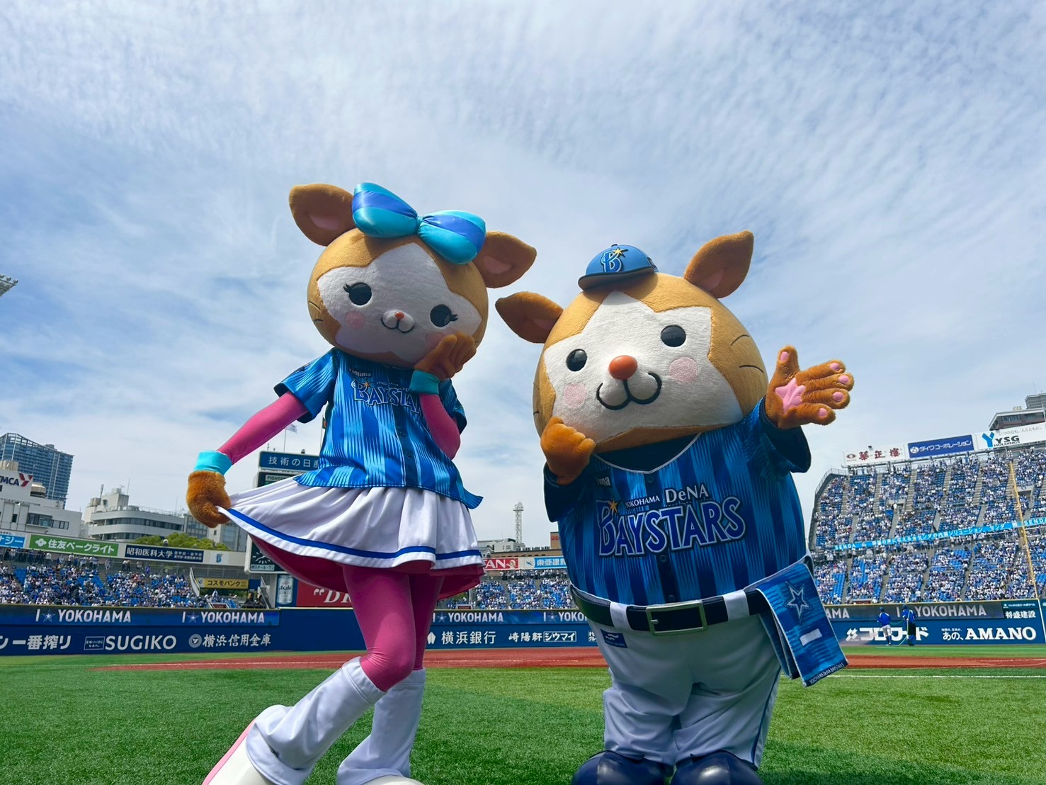 横浜DeNAベイスターズ on X: 