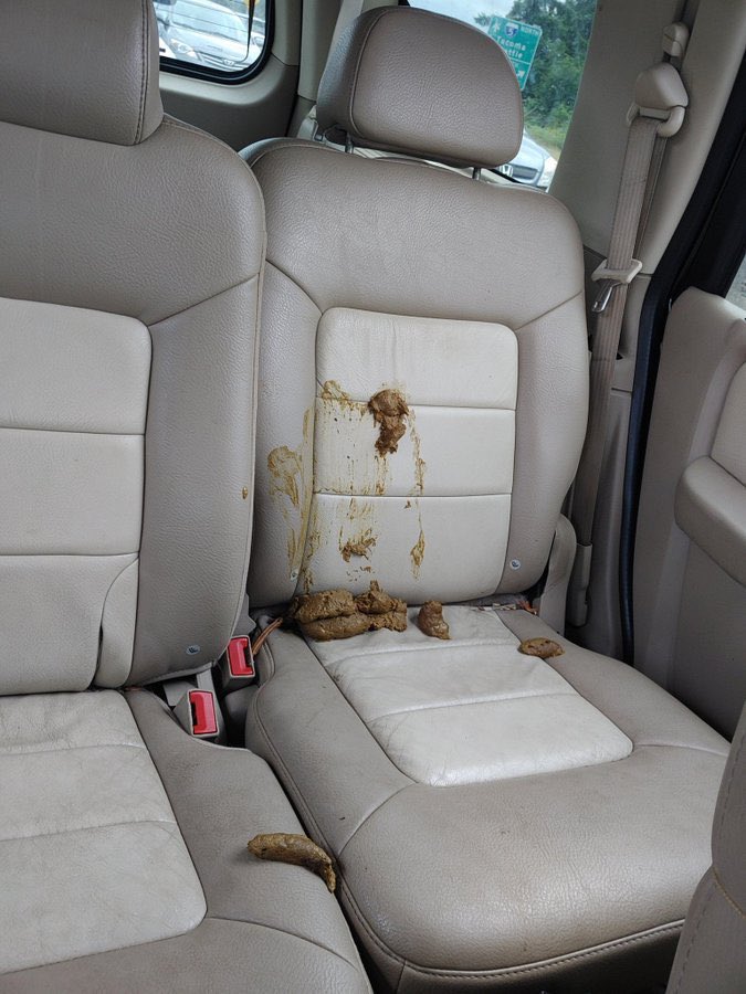 Meine Eltern wohnen in Kelberg (am Nürburgring) gestern hat ein Metaller den VW Sharan meiner Mutter aufgebrochen und auf den Rücksitz geschissen.