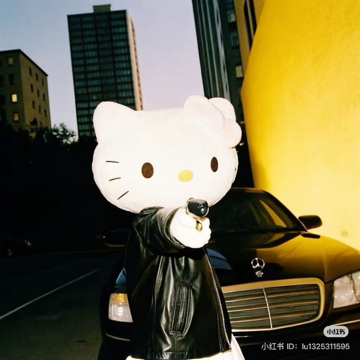 you don’t need to google her
your mom knows her.
your niece too.

hello kitty isn’t going viral
she’s just looping generations 🎀🌀

$kitty