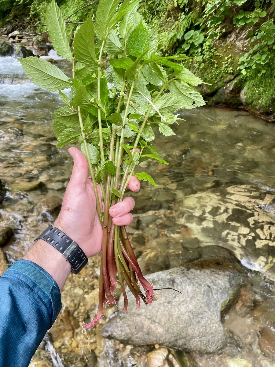 Miles Peterson tweet media