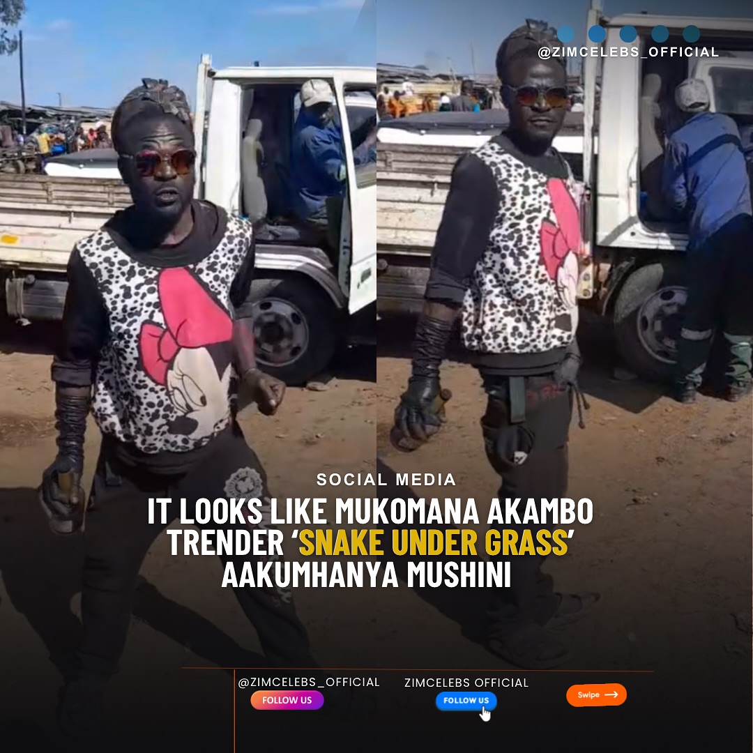 zimcelebs1's tweet image. #ZCstreets : Pakaipa 😭🙆🏾‍♀️ Snake under grass anenge aaku mhanya mushini