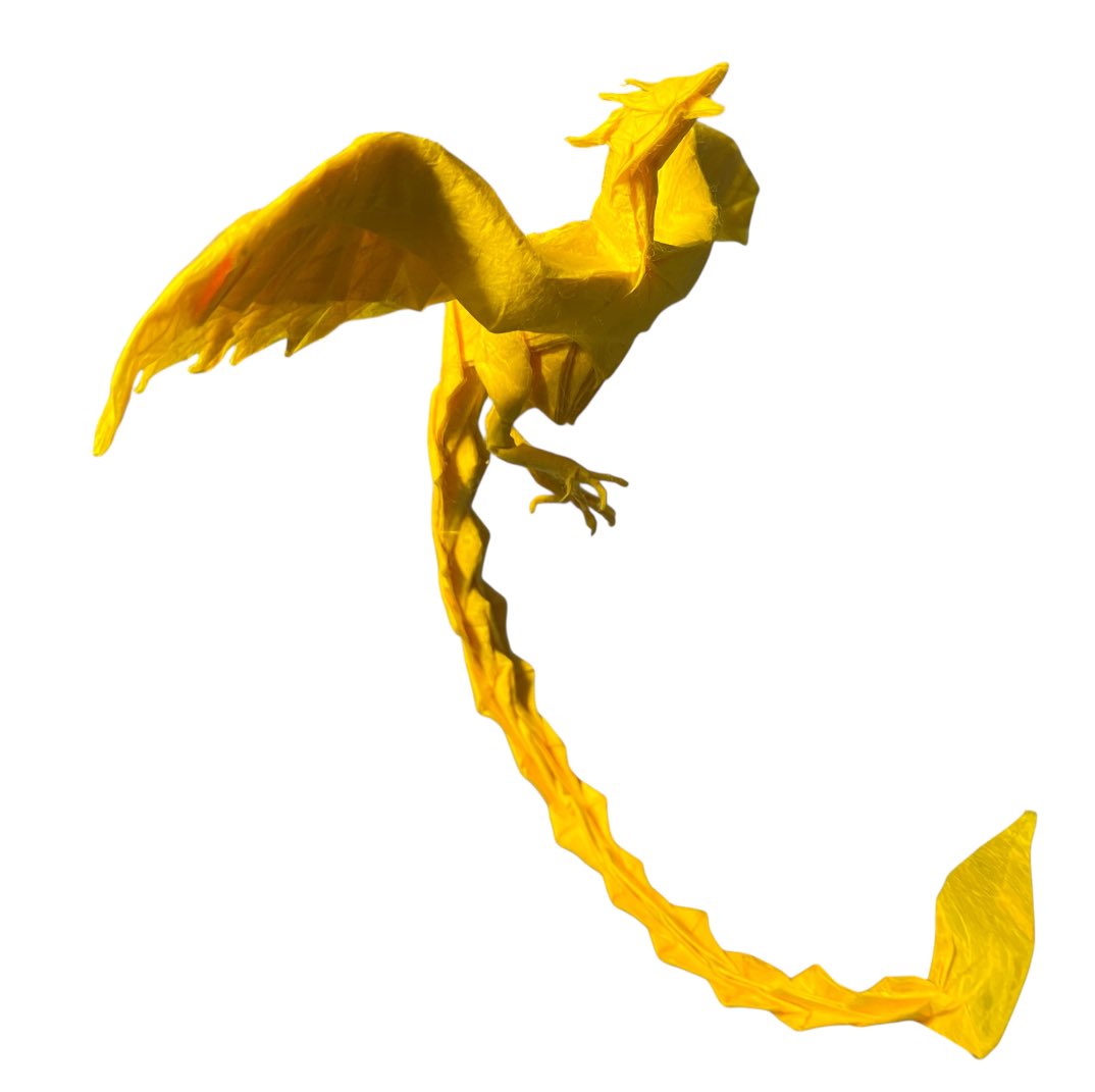 【フェニックス/Phoenix】
創作:神谷哲史さん/by Satoshi Kamiya
59cm雲龍紙/不切正方形一枚折り
神谷哲史作品集2より

特に好きな神谷作品の一つです。翼と尻尾を丁寧に折ることを意識しました。

#折り紙　#神谷作品