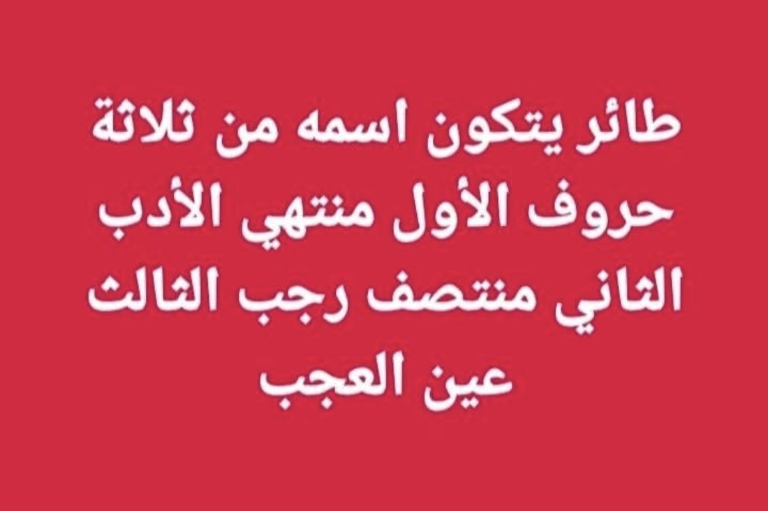 يلا بقي
بطل اكل لحمه وشغل مخك شويه
وحل فزوره العيد 😂😂