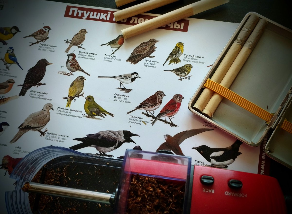 Кстате. Папиросная фабрика орнитолога - любителя