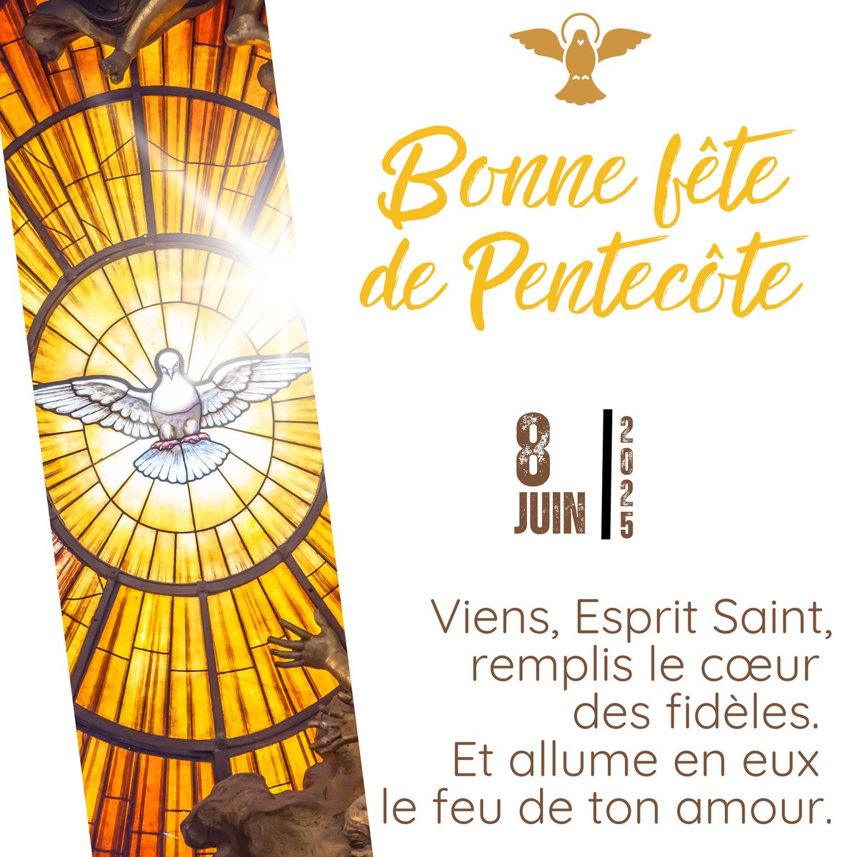 Seigneur, nous te confions tous les confirmés de Pentecôte particulièrement les 130 adultes de notre Diocèse de Rouen - Eglise catholique. Répands en eux les dons et les fruits de l'Esprit Saint🙏