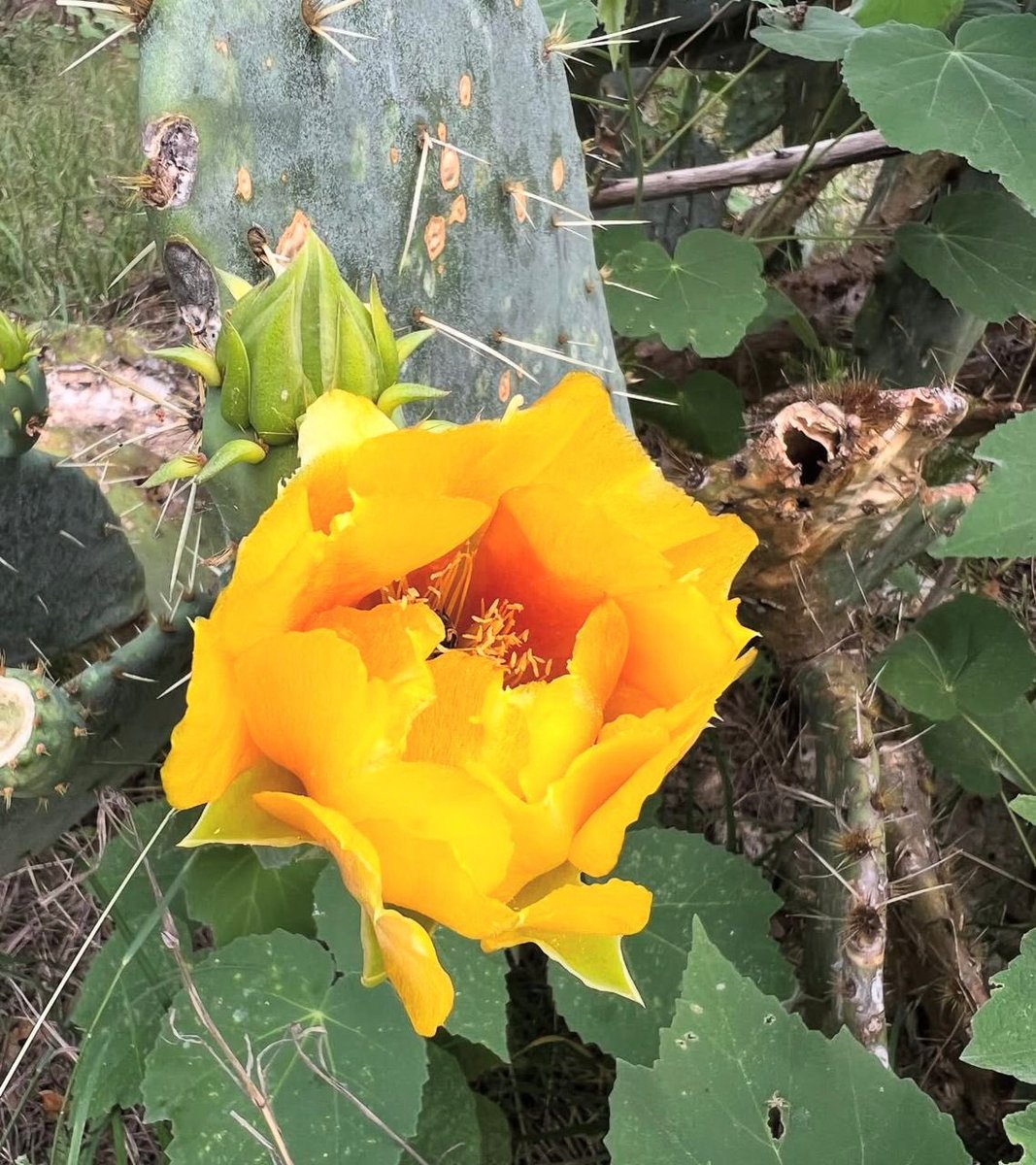 Nothing ever truly dies. The universe wastes nothing, everything is simply transformed