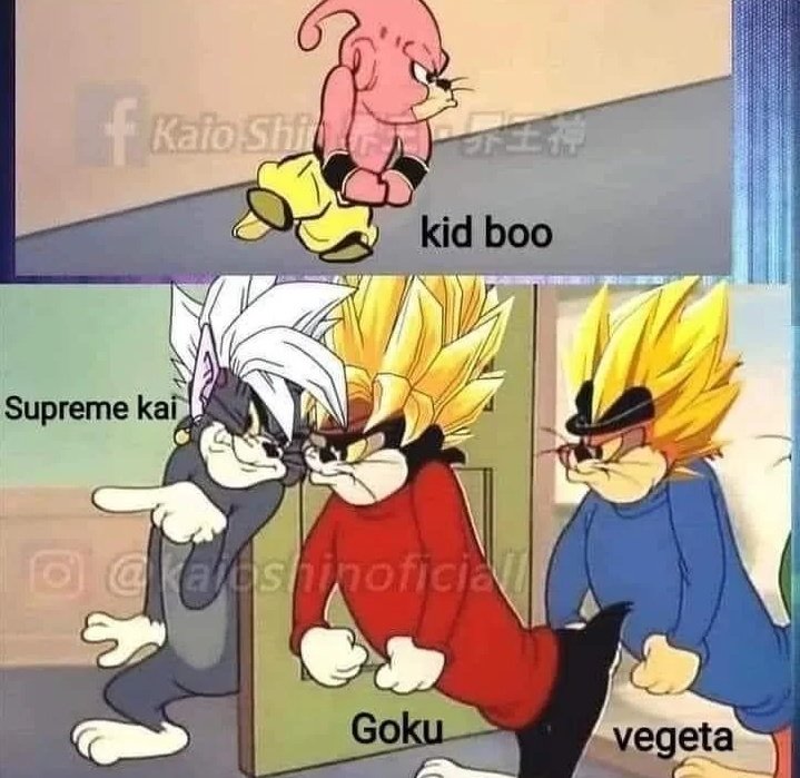 Dragon Ball Z Majin Buu Saga