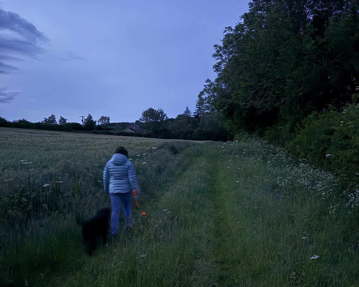 markswalking tweet media