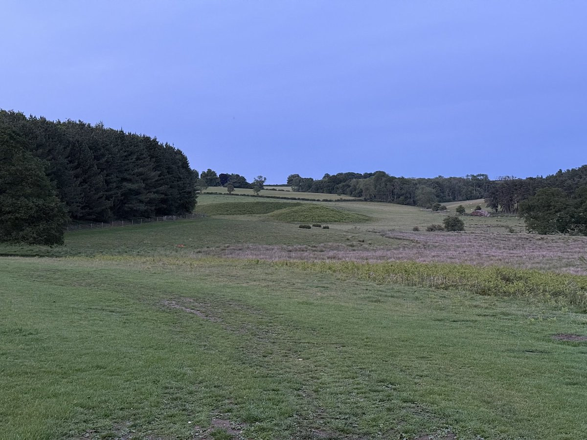 markswalking tweet media