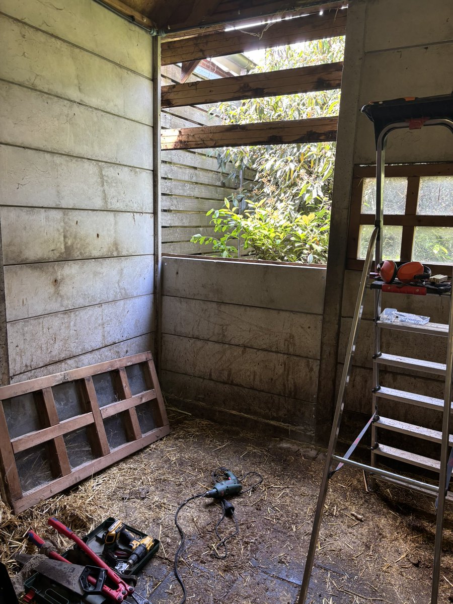 Stal is weer helemaal gemaakt. Kruiwagens met mest zijn leeg. Kippenhok is schoon. Gras gemaaid. Kersen smaken lekker. #zondag