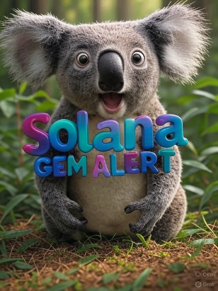 Adoy The Wise tweet media