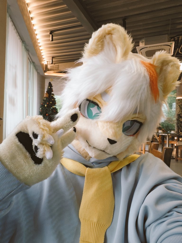 Ariel 🦁🔜関けも (@weeklyariel) on Twitter photo 