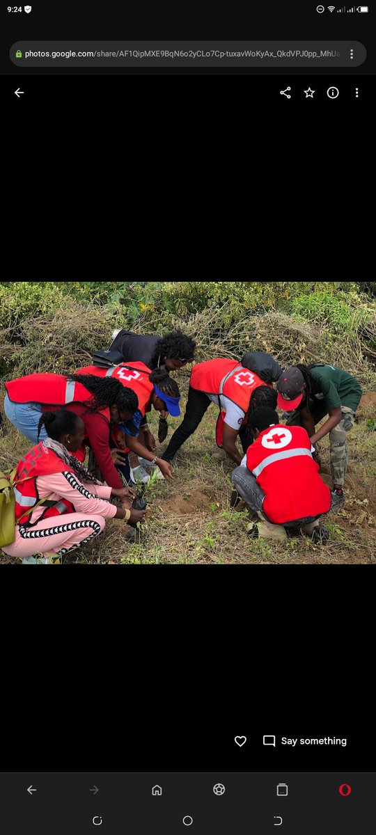 Together we rise✊.. The environment is where we all meet , where we all have mutual interest, is the one thing all of us share.... Nature doesn't need us, we need nature ✌️💯