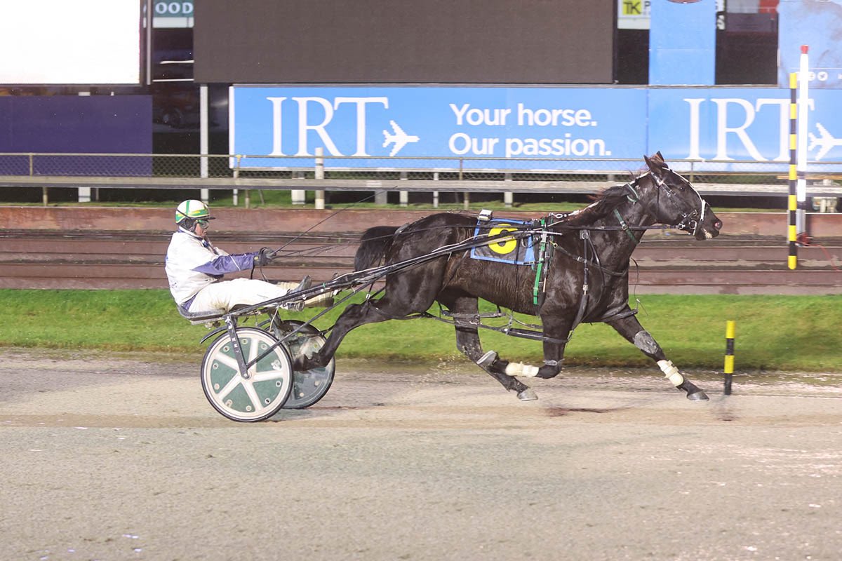 🥇 Star Magic and Blair Orange picking up his first win for Off n Racing at Addington today!