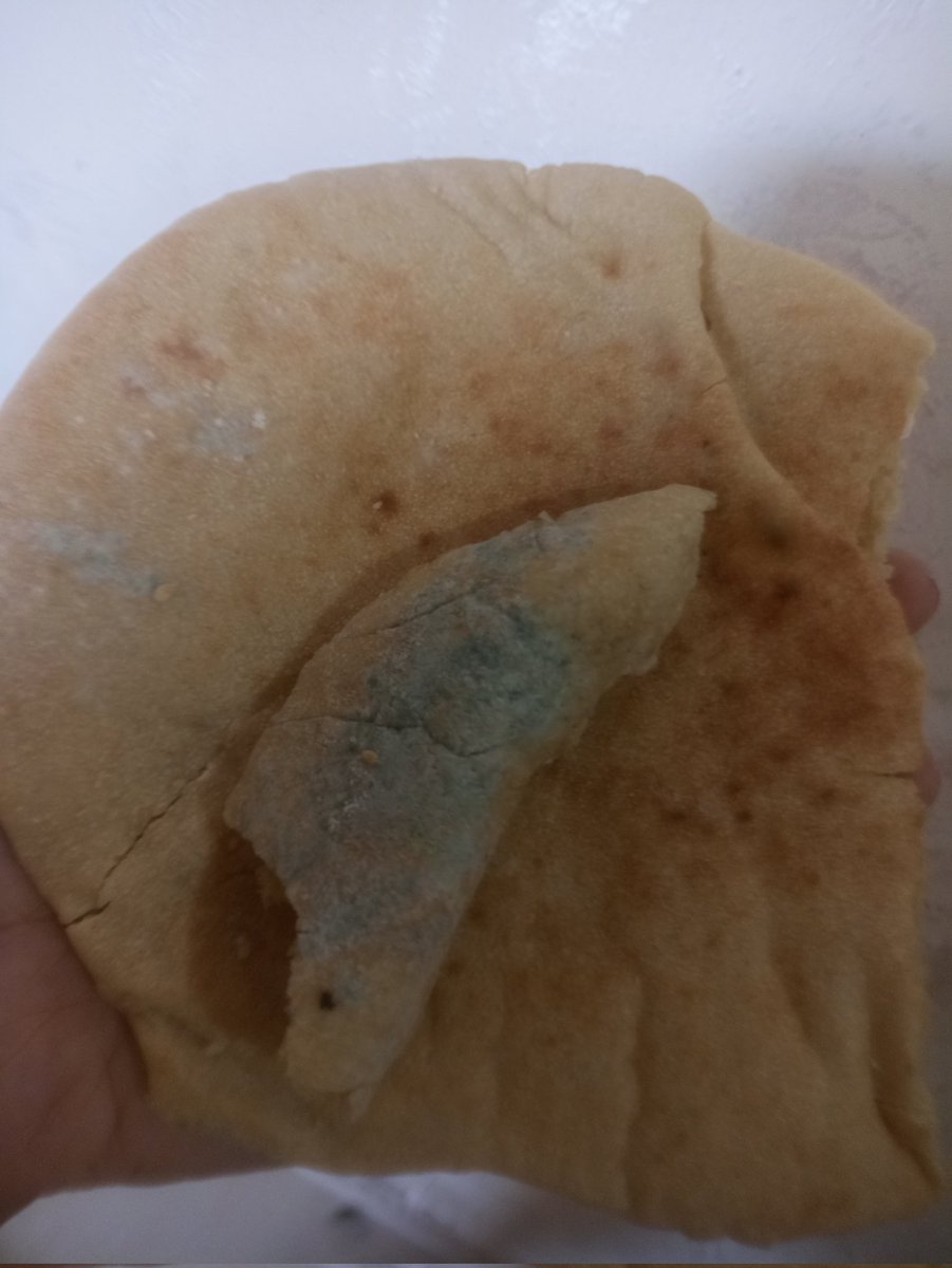 namer6549's tweet photo. This is the bread I have today... moldy💔, inedible, and yet there is no other.

https://t.co/7R2gqCXebf https://t.co/WKOjiSQjvG