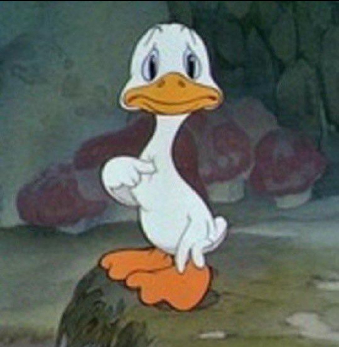 hisUnderlipMole's tweet photo. Can someone make a transitioned gif of these https://t.co/9jxJOEYg7A