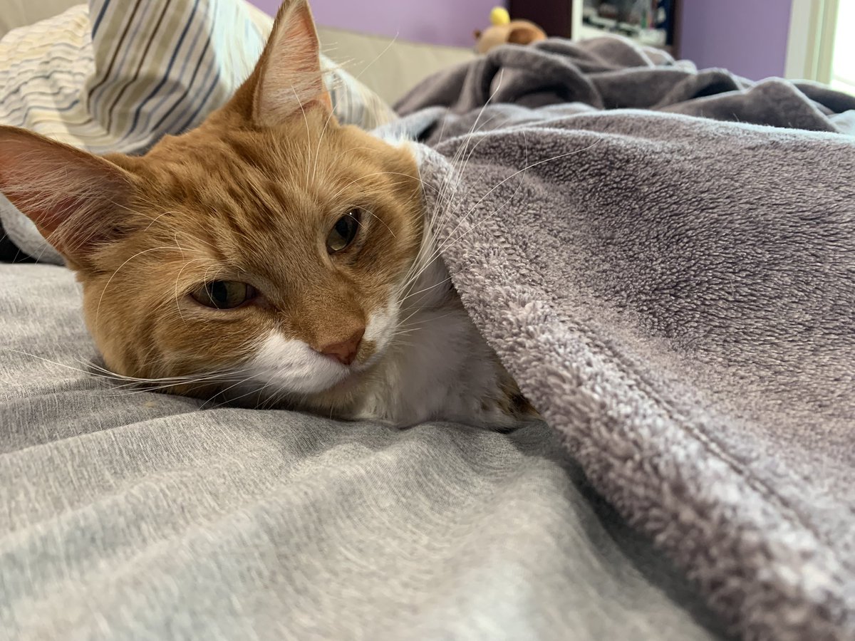 David @ Home tweet media