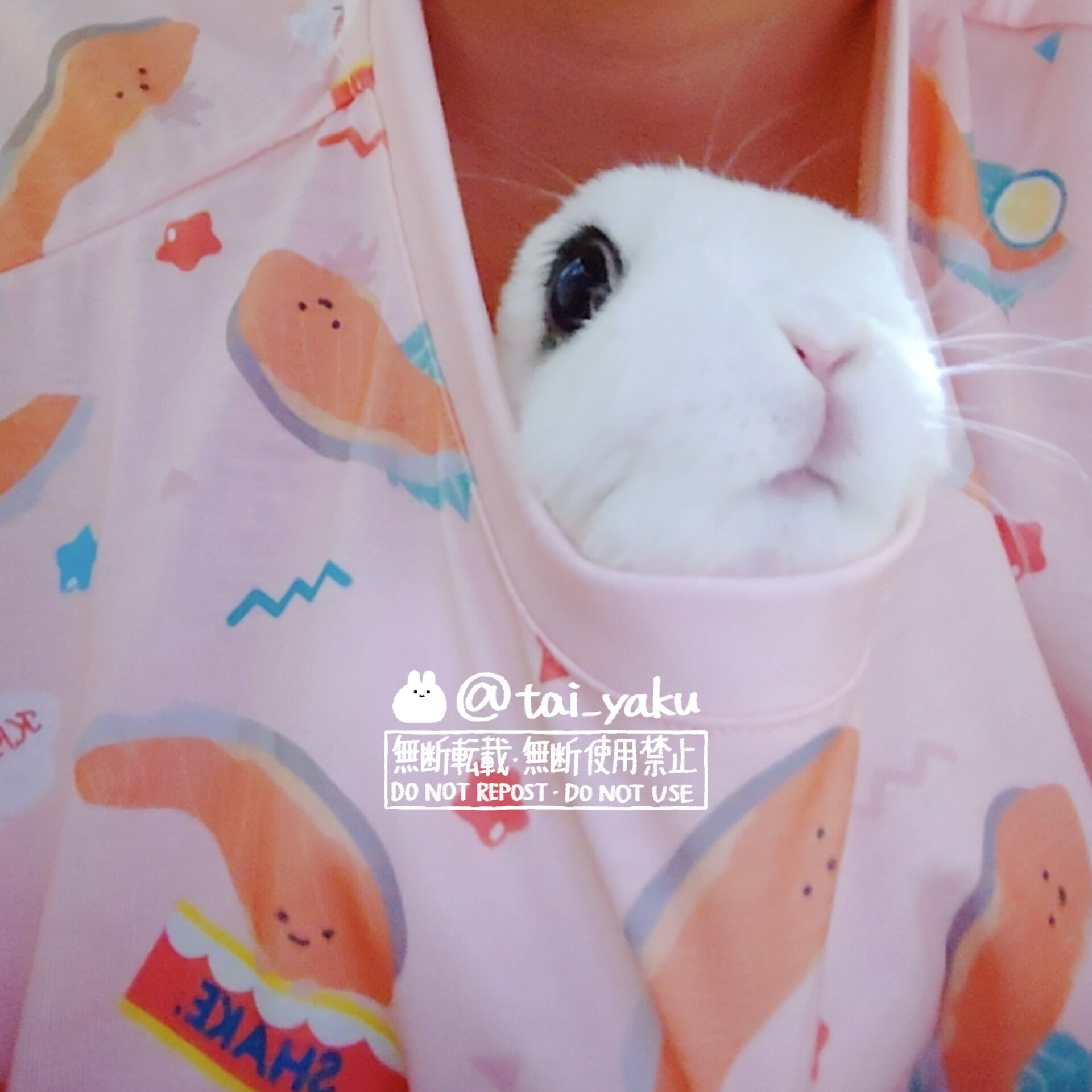 うさぎのふく on X: 