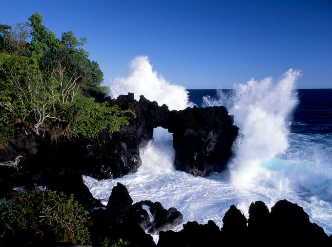 Happy #WorldOceansDay! 🇮🇪 supports ocean diplomacy and financing, with €1.75m since 2021 to the @worldbank PROBLUE trust fund, supporting the development of integrated and sustainable #marine and #coastal resources.