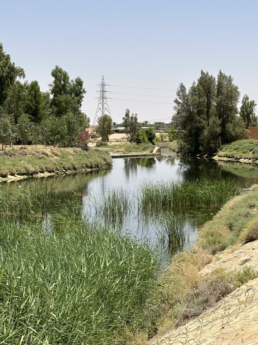 إذا هطل الخير المجمعة غير
بعدستي اليوم الأحد 2025/6/8
#المجمعة
#الفيحاء