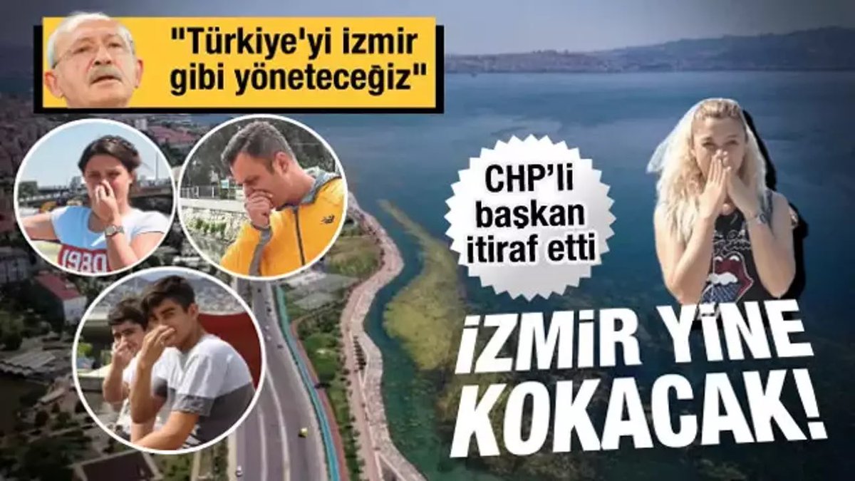 Kokla…Kokla….
Koklamayan Tayyipçi….