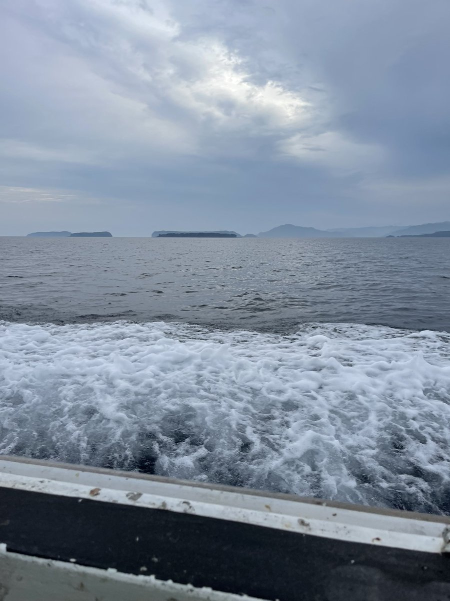 mosukohyn's tweet photo. SLJに行ってきました。萩市玉江から出船する翔陽丸にお邪魔してきました。午前中は痛恨の2バラシ イサキはムズい💦午後からようやく2匹GET( *˙ω˙*)و ｸﾞｯ!
あ〜午前中のイサキ釣りたかった。かなりファイトあるイサキだったのに〜ꉂ(ˊᗜˋ*) https://t.co/v293grn7Ij